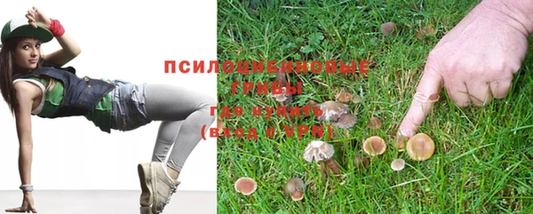 бошки Алексеевка