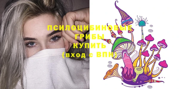 ГАЛЛЮЦИНОГЕННЫЕ ГРИБЫ Алексин