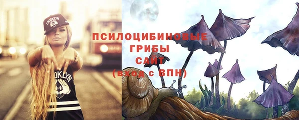 ГАЛЛЮЦИНОГЕННЫЕ ГРИБЫ Алексин