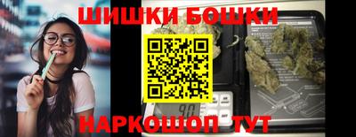 хмурый Камень-на-Оби