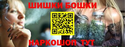 хмурый Камень-на-Оби