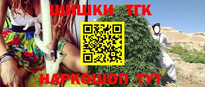 хмурый Камень-на-Оби