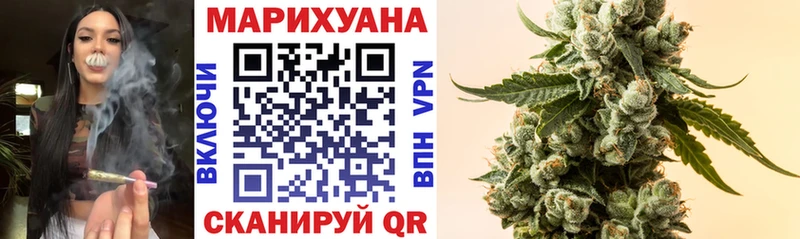 где продают наркотики  Киржач  MEGA tor  Бошки марихуана конопля 